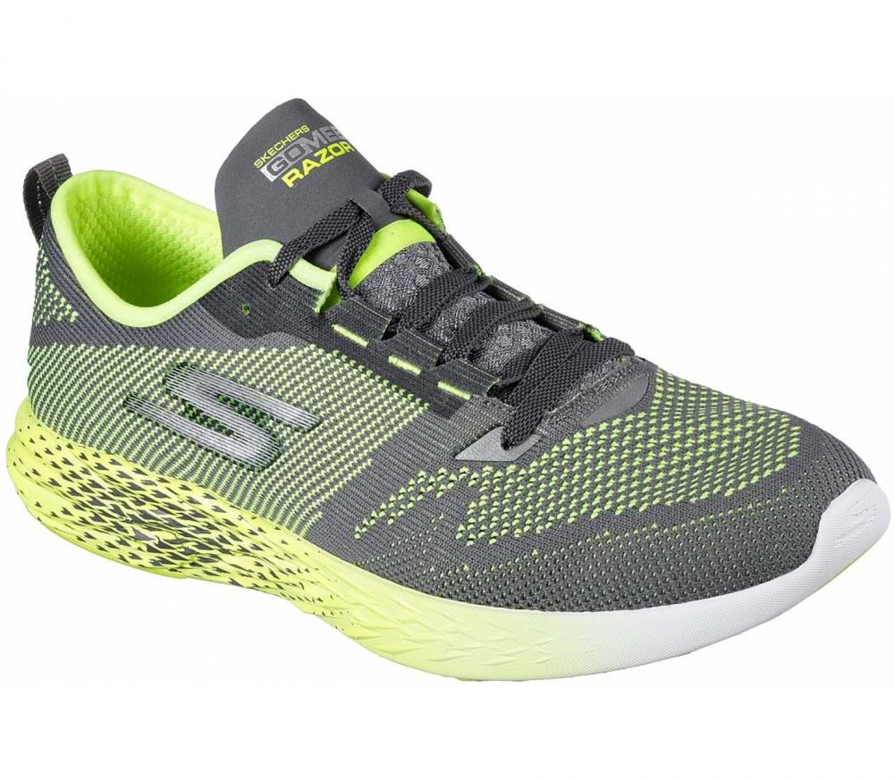 skechers go run 2 uomo grigio